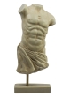 AR052 Authentic Models Roman Male Torso