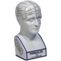 MG020 Phrenology Head  - Phrenologischer Kopf