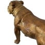 Bronzeskulptur "Hund - Englische Bulldogge", gold