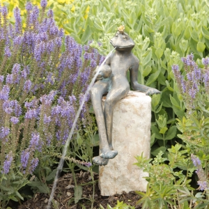 Froschkönig Gunter als Wasserspeier