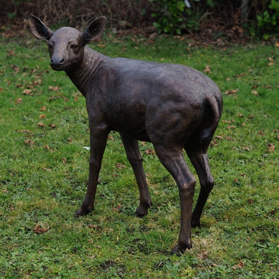 Bronzeskulptur "Junge Hirschkuh"